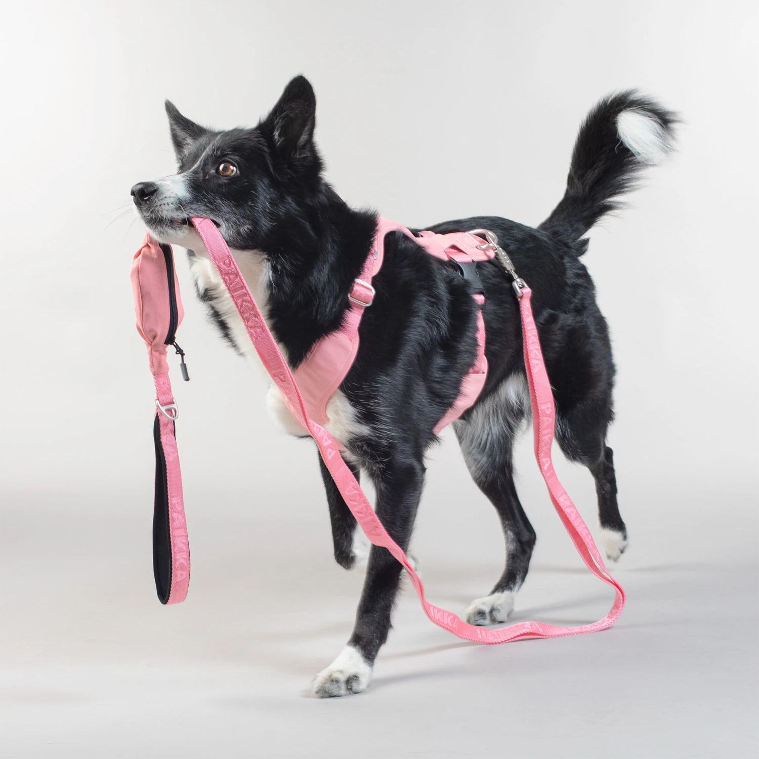 PAIKKA Visibility Leash 8 PAIKKA Visibility Leash - Afbeelding 8