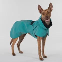 PAIKKA Visibility Raincoat Emerald -Bekend Hondenspullen Winkel paikka visibility raincoat emerald 222162 2000 none