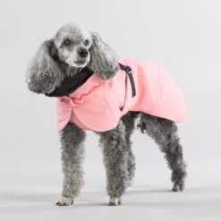 PAIKKA Visibility Winter Jacket 29 PAIKKA Visibility Winter Jacket -Bekend Hondenspullen Winkel paikka visibility winter jacket 217799 2000 none