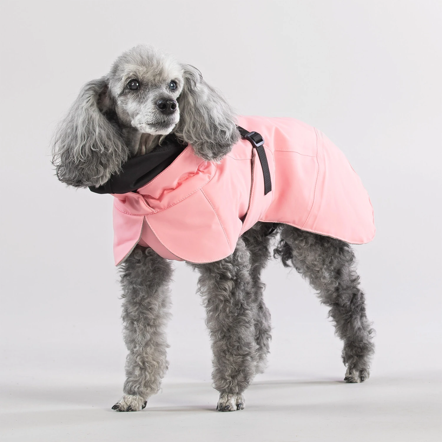 PAIKKA Visibility Winter Jacket 14 PAIKKA Visibility Winter Jacket - Afbeelding 14