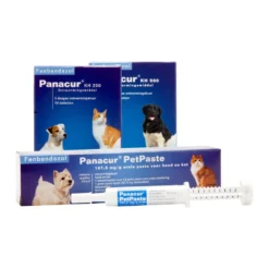 Panacur - Hond & Kat -Bekend Hondenspullen Winkel panacur hond en kat 88405 1000 none