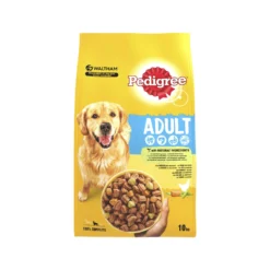 Pedigree Droog Adult - Hondenbrokken 11 Pedigree Droog Adult - Hondenbrokken -Bekend Hondenspullen Winkel pedigree droog adult hondenbrokken kip 10 kg 138047 2000 none