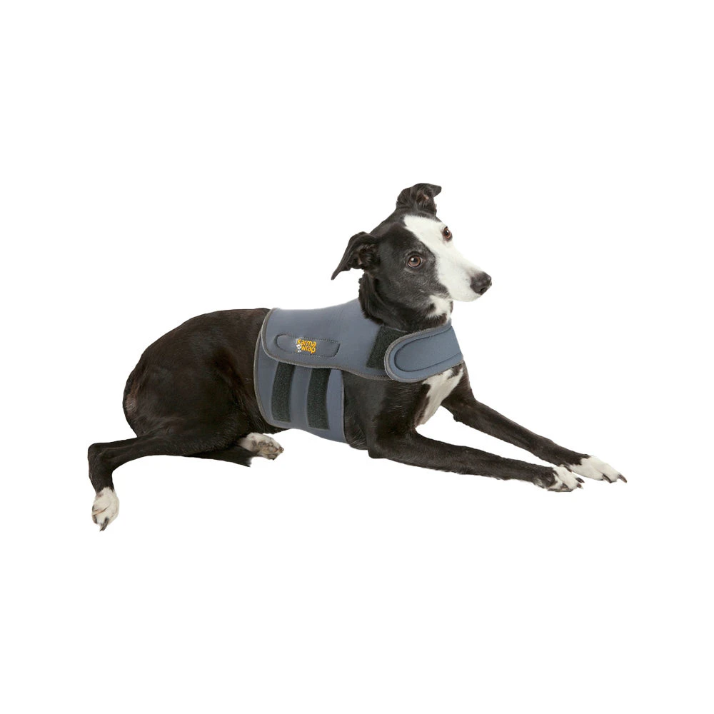 Petlife KarmaWrap Hond 4 Petlife KarmaWrap Hond - Afbeelding 4