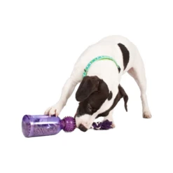 PetSafe Tug-a-Jug -Bekend Hondenspullen Winkel petsafe tug a jug 216335 0500 none