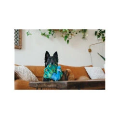 P.L.A.Y. Fetching Flock - Peacock -Bekend Hondenspullen Winkel play fetching flock peacock 182614 0500 none