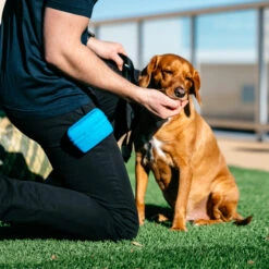 Popware Pooch Pouch Treatbag -Bekend Hondenspullen Winkel popware pooch pouch treatbag 164698 2000 none