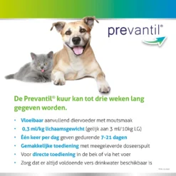 Bayer Prevantil -Bekend Hondenspullen Winkel prevantil 195254 2000 none
