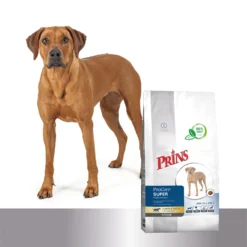 Prins ProCare Croque Super Performance -Bekend Hondenspullen Winkel prins procare croque super performance 171379 1500 none