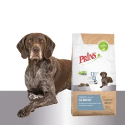 Prins ProCare Senior Support -Bekend Hondenspullen Winkel prins procare senior support 171634 1500 none