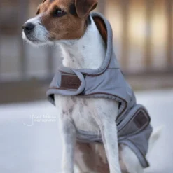 Kentucky Dog Coat Reflective & Waterrepellent -Bekend Hondenspullen Winkel prod 15746 219013 0500 none