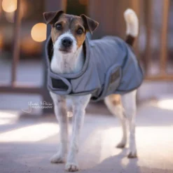 Kentucky Dog Coat Reflective & Waterrepellent -Bekend Hondenspullen Winkel prod 15746 219014 0500 none