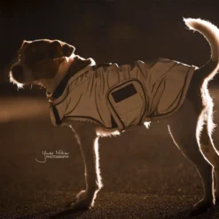 Kentucky Dog Coat Reflective & Waterrepellent -Bekend Hondenspullen Winkel prod 15746 219015 0500 none