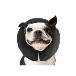 ZenPet Pro Collar -Bekend Hondenspullen Winkel prod 5331 88983 0500 none