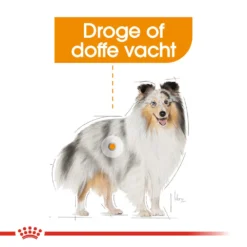 Royal Canin Coat Care Wet - Hondenvoer -Bekend Hondenspullen Winkel prod 8914 131804 1000 none