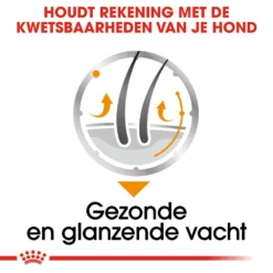 Royal Canin Coat Care Wet - Hondenvoer -Bekend Hondenspullen Winkel prod 8914 131822 1000 none