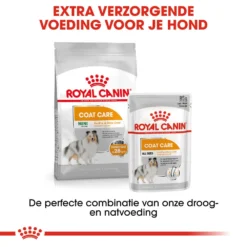 Royal Canin Coat Care Wet - Hondenvoer -Bekend Hondenspullen Winkel prod 8914 131831 1000 none