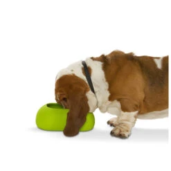 Buster Incredibowl -Bekend Hondenspullen Winkel product buster incredibowl none 4 1479720007 80827