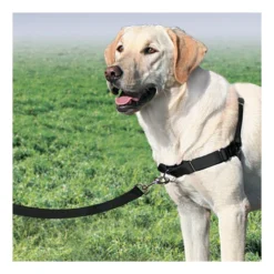 PetSafe Easywalk Tuigje -Bekend Hondenspullen Winkel product easywalk tuigje none 4 1477994349 79564