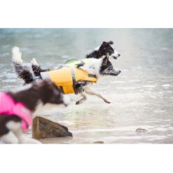 Hurtta Life Savior Zwemvest 11 Hurtta Life Savior Zwemvest -Bekend Hondenspullen Winkel product hurtta life savior none 4 1467708758 70810