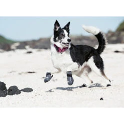 Hurtta Outback Boots -Bekend Hondenspullen Winkel product hurtta outback boots none 4 1478786124 80266