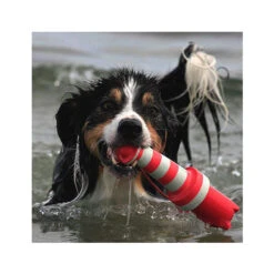 Rogz Lighthouse -Bekend Hondenspullen Winkel product rogz lighthouse none 4 1485526267 82936