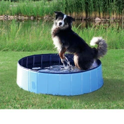 Trixie Dog Pool -Bekend Hondenspullen Winkel product trixie dog pool none 4 1495792779 86689