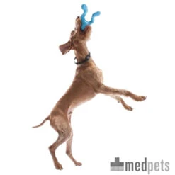 Zogoflex Tizzi - Dog Toy -Bekend Hondenspullen Winkel product zogoflex tizzi dog toy medpets 4 1403514194 8230