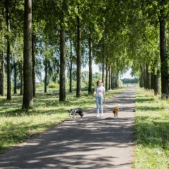 Rebel Petz Verstelbare Duo Riem -Bekend Hondenspullen Winkel rebel petz verstelbare duo riem 208532 2000 none