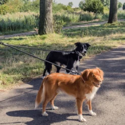 Rebel Petz Verstelbare Duo Riem -Bekend Hondenspullen Winkel rebel petz verstelbare duo riem 208541 2000 none