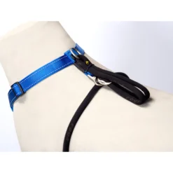 Rogz Beltz Utility Stop Pull Hondentuig 19 Rogz Beltz Utility Stop Pull Hondentuig -Bekend Hondenspullen Winkel rogz beltz utility stop pull hondentuig 220236 2000 none