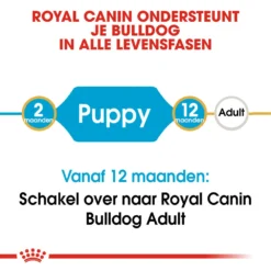 Royal Canin Bulldog Puppy - Hondenvoer -Bekend Hondenspullen Winkel royal canin bulldog puppy hondenvoer 137791 1000 none