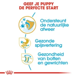 Royal Canin Bulldog Puppy - Hondenvoer -Bekend Hondenspullen Winkel royal canin bulldog puppy hondenvoer 137809 1000 none
