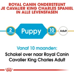 Royal Canin Cavalier King Charles Puppy - Hondenvoer -Bekend Hondenspullen Winkel royal canin cavalier king charles puppy hondenvoer 137911 1000 none
