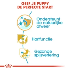 Royal Canin Cavalier King Charles Puppy - Hondenvoer -Bekend Hondenspullen Winkel royal canin cavalier king charles puppy hondenvoer 137929 1000 none