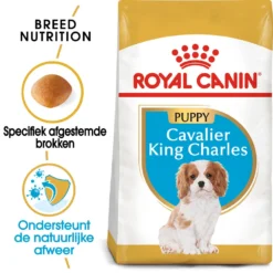 Royal Canin Cavalier King Charles Puppy - Hondenvoer -Bekend Hondenspullen Winkel royal canin cavalier king charles puppy hondenvoer 142814 1000 none