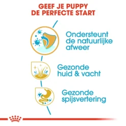 Royal Canin Cocker Puppy - Hondenvoer -Bekend Hondenspullen Winkel royal canin cocker puppy hondenvoer 138223 1000 none