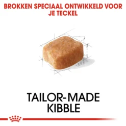 Royal Canin Dachshund Adult - Hondenvoer -Bekend Hondenspullen Winkel royal canin dachshund adult hondenvoer 138274 1000 none