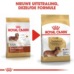 Royal Canin Dachshund Adult - Hondenvoer -Bekend Hondenspullen Winkel royal canin dachshund adult hondenvoer 138292 1000 none