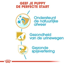 Royal Canin Dalmatian Junior - Hondenvoer -Bekend Hondenspullen Winkel royal canin dalmatian puppy hondenvoer 138586 1000 none