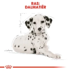 Royal Canin Dalmatian Junior - Hondenvoer -Bekend Hondenspullen Winkel royal canin dalmatian puppy hondenvoer 138595 1000 none