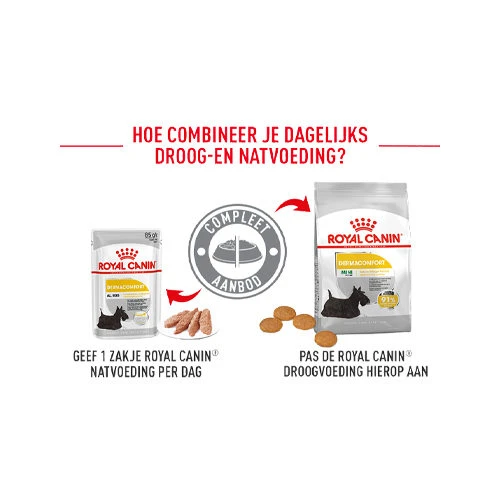 Royal Canin Dermacomfort Mini - Hondenvoer 5 Royal Canin Dermacomfort Mini - Hondenvoer - Afbeelding 5
