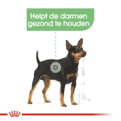 Royal Canin Digestive Care Wet - Hondenvoer 12 Royal Canin Digestive Care Wet - Hondenvoer -Bekend Hondenspullen Winkel royal canin digestive care wet hondenvoer 131498 1000 none