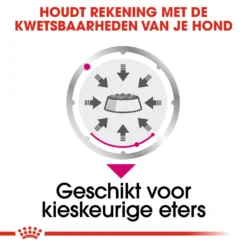 Royal Canin Exigent Wet - Hondenvoer -Bekend Hondenspullen Winkel royal canin exigent wet hondenvoer 131888 1000 none