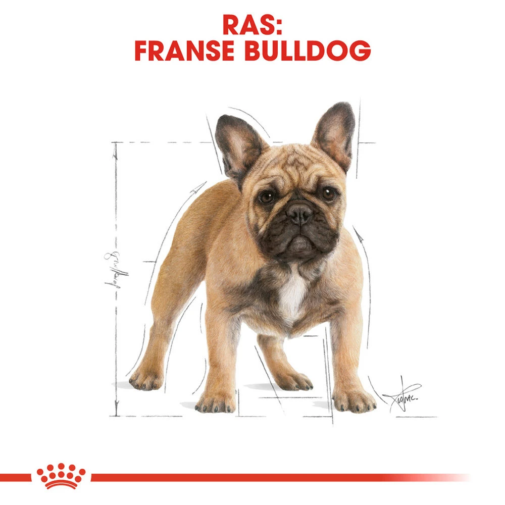 Royal Canin French Bulldog Adult - Hondenvoer 7 Royal Canin French Bulldog Adult - Hondenvoer - Afbeelding 7