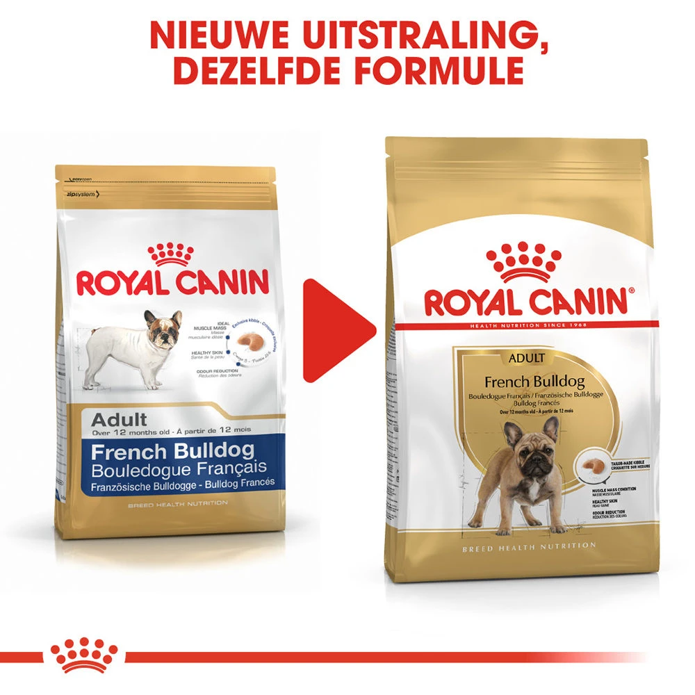 Royal Canin French Bulldog Adult - Hondenvoer 8 Royal Canin French Bulldog Adult - Hondenvoer - Afbeelding 8
