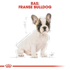 Royal Canin French Bulldog Puppy - Hondenvoer -Bekend Hondenspullen Winkel royal canin french bulldog puppy hondenvoer 138724 1000 none