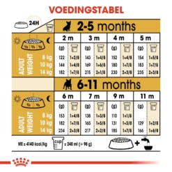 Royal Canin French Bulldog Puppy - Hondenvoer -Bekend Hondenspullen Winkel royal canin french bulldog puppy hondenvoer 138733 1000 none