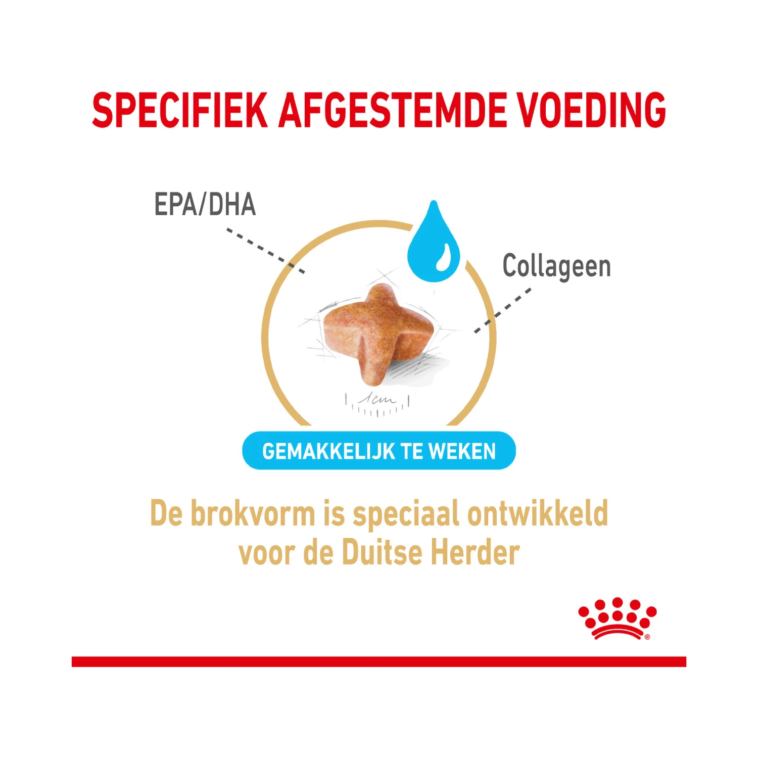 Royal Canin German Shepherd Adult 5+ 6 Royal Canin German Shepherd Adult 5+ - Afbeelding 6