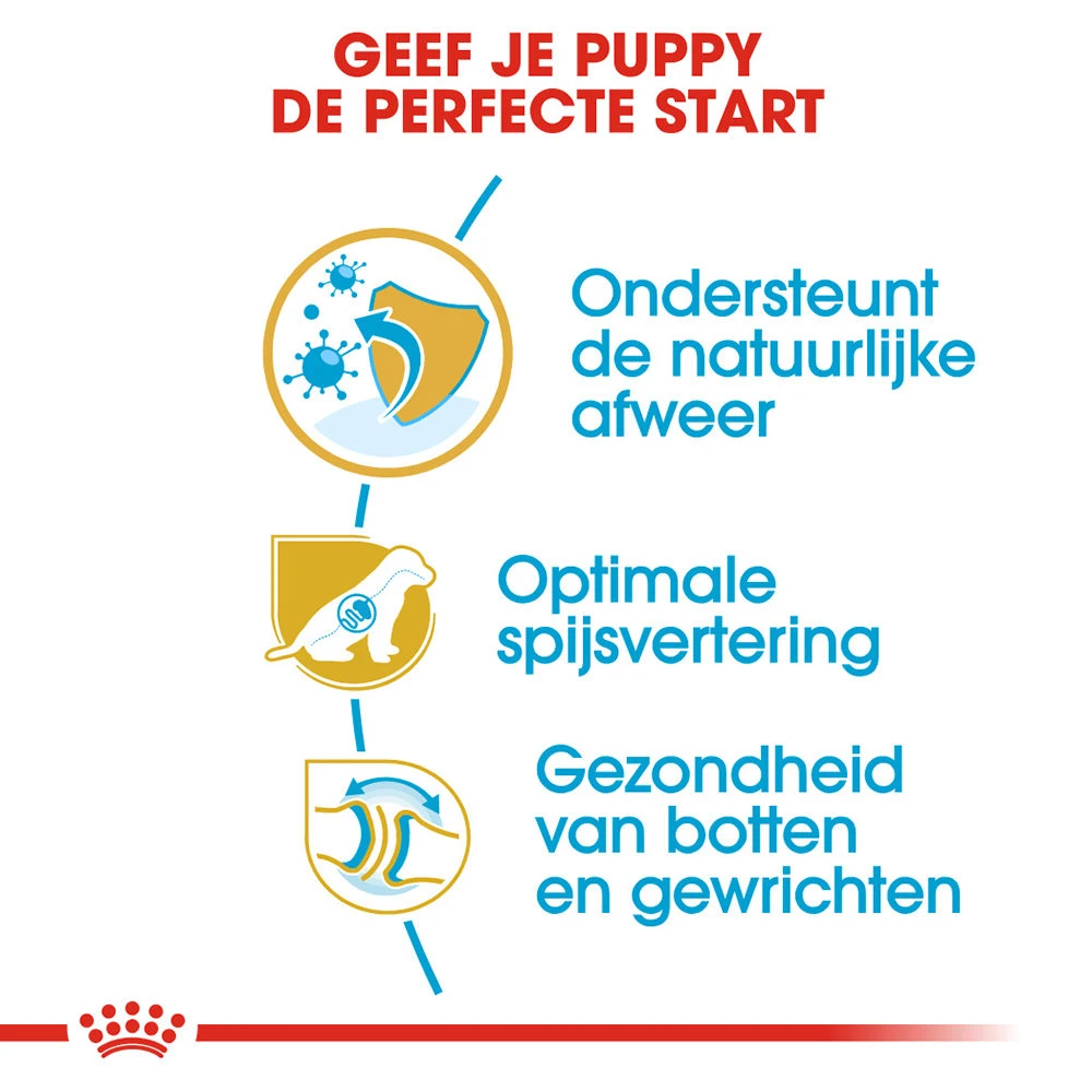Royal Canin German Shepherd Puppy- Hondenvoer 5 Royal Canin German Shepherd Puppy- Hondenvoer - Afbeelding 5