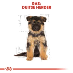 Royal Canin German Shepherd Puppy- Hondenvoer 18 Royal Canin German Shepherd Puppy- Hondenvoer -Bekend Hondenspullen Winkel royal canin german shepherd puppy hondenvoer 138844 1000 none